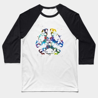 Insulin Structure Baseball T-Shirt